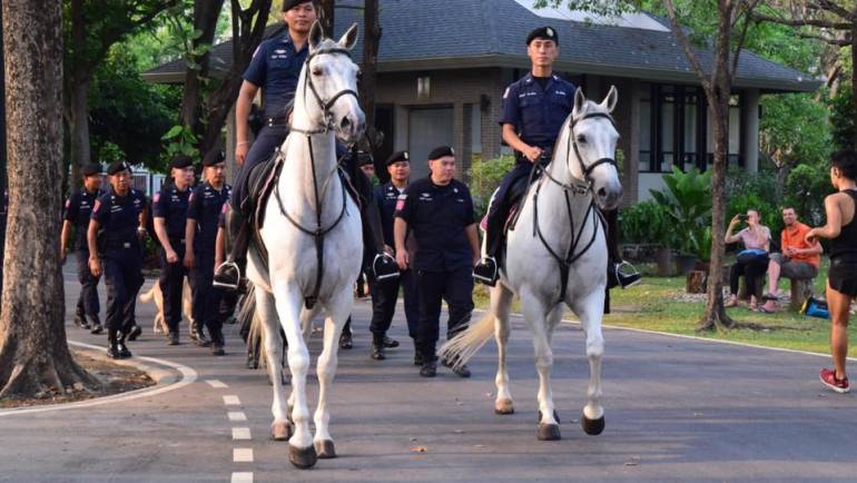 ม้าตำรวจ