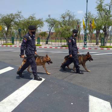 สุนัขตำรวจ