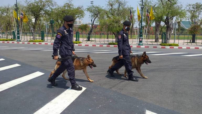 สุนัขตำรวจ